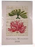 2008 Natural Wonders Vintage Prints Wall Calendar 13 by 19 inches cream laid paper finish