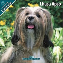 Lhasa Apso 2010 Wall Calendar #10051-10