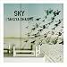 SKY(���񐶎Y�����)(DVD�t)