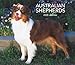 Australian Shepherds, For the Love of 2008 Deluxe Wall Calendar (German, French and Spanish Edition)