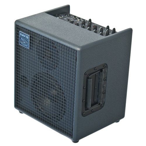 Schertler David Acoustic Instrument Combo Amplifier