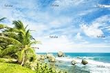Wallmonkeys Peel and Stick Wall Decals - Bathsheba, East Coast of Barbados, Caribbean - 72