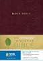 NIV Holy Bible Giant Print Reference Edition, Thumb Indexed, Burgundy Leather-Look