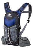 Gregory Stimulus Daypack