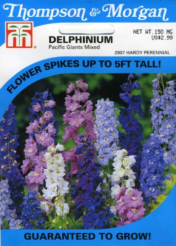 cyber Monday Thompson Morgan Delphinium Pacific GiantsB006RL6YVK