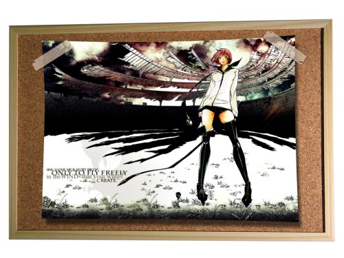 Anime Air Gear Poster Print Print Poster AnimatedSize:16″ x 12″ (40 x 30 cm Approx)