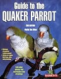 Guide to the Quaker Parrot