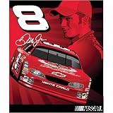 Dale Earnhardt Jr. #8 NASCAR Licensed 50
