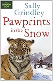 Paw prints in the snow