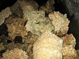 LIVE ROCK MARINE CORALLINE SALTWATER AQUARIUM 10LBS SEEDED CURED
