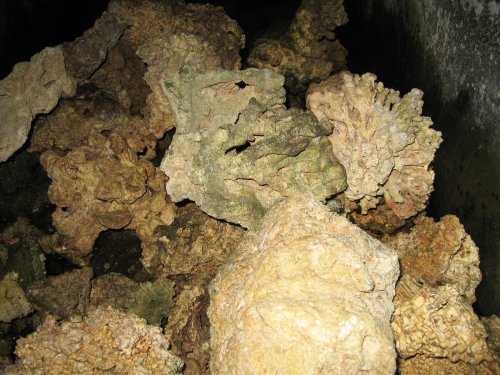 LIVE ROCK MARINE CORALLINE SALTWATER AQUARIUM 10LBS SEEDED CURED