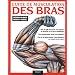 Guide de musculation des bras