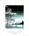 Grand Teton Park Ansel Adams New Art Poster Print - 16 X 20