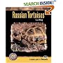 Russian Tortoises (Complete Herp Care)