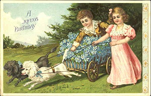 A Joyous Birthday Dogs Original Vintage Postcard