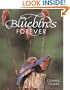 Bluebirds Forever
