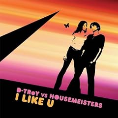 I Like U (Housemeisters cut mix)