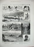 1887 New Zealand Native Ngatai Wanganui Tangarakau