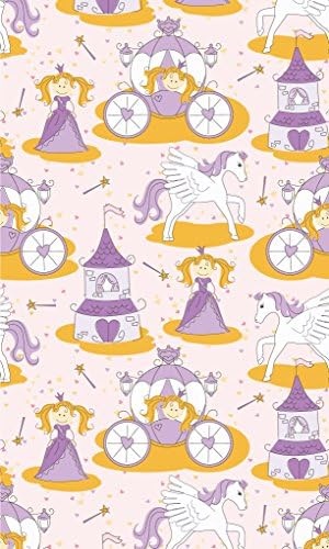 Cinderella Photo Backdrop 5' x 7'