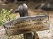 Sign on Pacific Crest Trail to Monache Meadows, Inyo National Forest, California Phot...