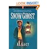 Snow Ghost (Journeys of the Stranger #7)