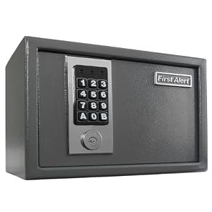 First Alert 2025F Anti-Theft Shelf Safe, 0.28 Cubic Foot, Gray