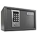 First Alert 2025F Anti-Theft Safe, 0.28 Cubic Foot, Gray