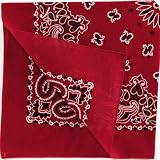 Red Bandana (8) Party Supplies