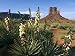 Soapweed Yucca. Monument Valley Navajo Tribal Park, Arizona, Usa 2007 Photographic Poster Print by Philippe Clement, 24x32
