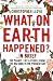 What on Earth Happened?... in Brief: The Planet, Life and People from the Big Bang to the Present Day
