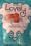 LOVELY CANDY SEA SALT CARMELS 26 OUNCES