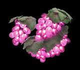 Review Hofert  / Set of 100 Indoor/Outdoor Purple Grape Cluster Christmas Lights
