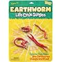 Life Cycle Stages Earthworm