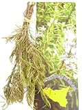 Rosemary Sicilian Spices in Bunch 25-Gram (Pack of 4)