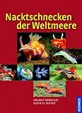 Nacktschnecken der Weltmeere: 1200 Arten Weltweit