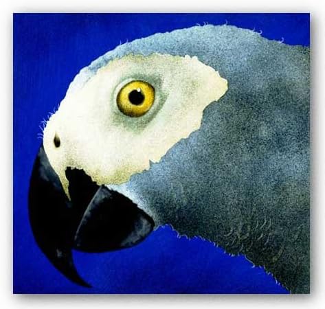 No Caws Poster Print by Will Bullas (12 x 12)