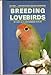 Breeding Lovebirds