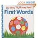 First Words (BABY TOUCH & FEEL)