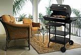 51 3narbfpL. SL160  Dimplex Electric BBQ Grill
