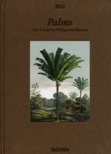 Palms - 2012 (Small Deluxe Diaries)