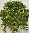 Large Mix Greenery Ledge Garden