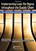 Implementing Lean Six Sigma throughout the Supply Chain: The Comprehensive and Transparent Case Study