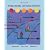 Drugs, Society, and Human Behavior, 12th Edition