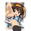 涼宮ハルヒの憂鬱 5.999999 (第8巻) 限定版 [DVD]