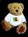 Teddy Bear with cameroon, international, national flag t-shirt