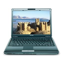 Toshiba Satellite M305D-S4828 14-inch Laptop (2.1 GHz AMD Turion X2 Ultra Dual Core Mobile ZM-80 Processor, 3 GB RAM, 250 GB Hard Drive, DVD Drive, Vista Premium) Black