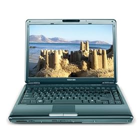 Toshiba Satellite M305D-S4828 Laptop