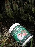 Outdoor Living : MULTIPURPOSE FRIENDLY FUNGI