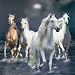 Spirit of The Horse 1000 Piece Jigsaw Puzzle