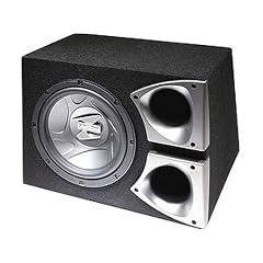 Axton Subwoofer 25Cm Ab25